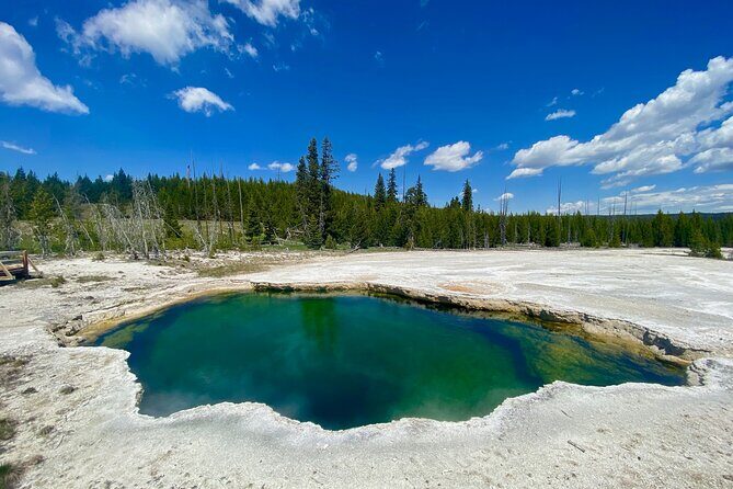 Half Day Private in Yellowstone Geyser Basin Tour - The Itinerary Explained: What to Expect