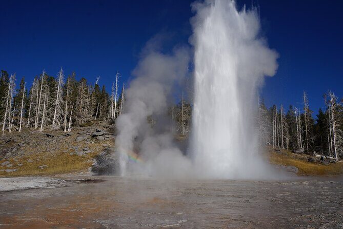 Half Day Private in Yellowstone Geyser Basin Tour - What Makes This Tour Stand Out?