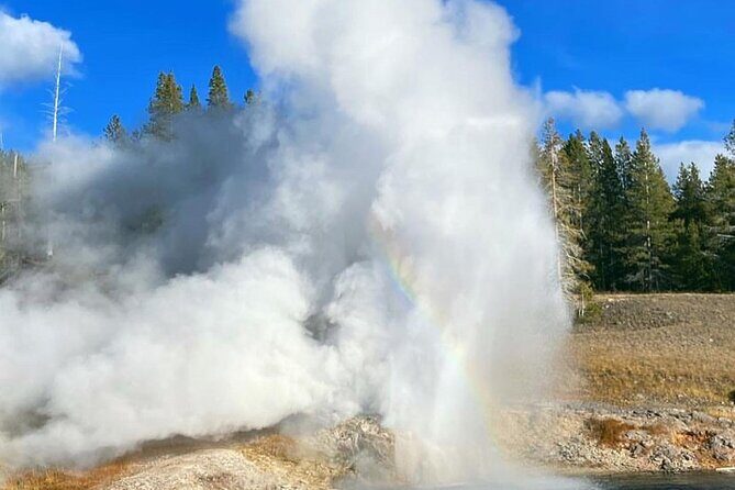 Half Day Private in Yellowstone Geyser Basin Tour - Final Thoughts