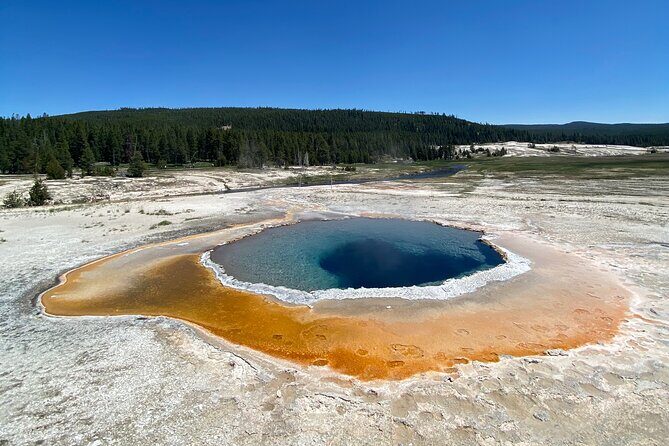 Half Day Private in Yellowstone Geyser Basin Tour - Who It’s Best For