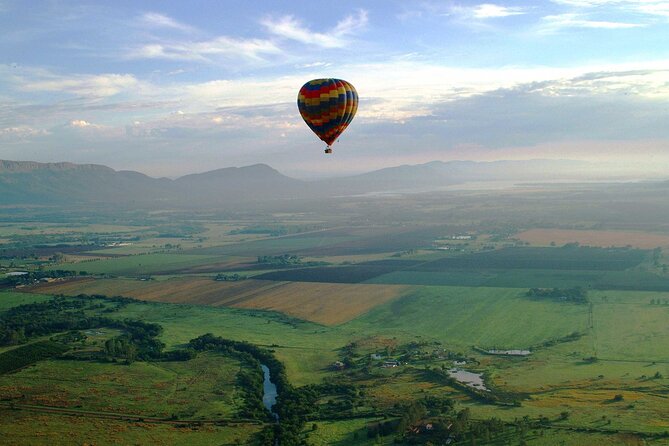 Half-Day Private Johannesburg Bill Harrops Hot Air Balloon Safari - Overview