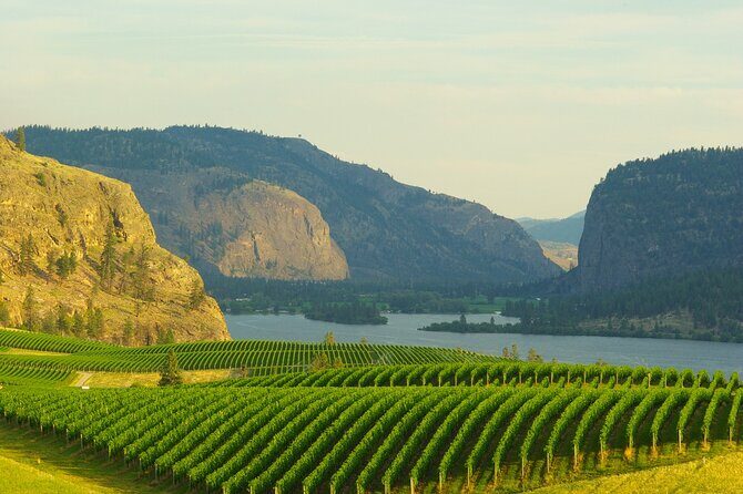 Half-Day Private Lake Country Wine Tour from Kelowna - Introduction: A Flavorful Escape in Kelownas Wine Country