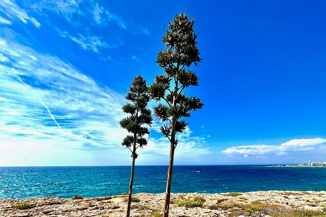 Half Day Private Landscape Tour in Cape Greco - Tour Activities