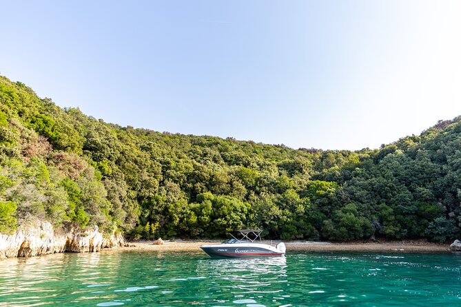 Half-Day Private Lim Fjord and Red Island Speedboat Tour - Pricing and Booking Options