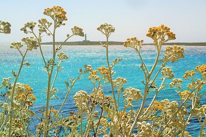 Half-Day Private Menorca Sightseeing Tour - Meeting and Pickup Information