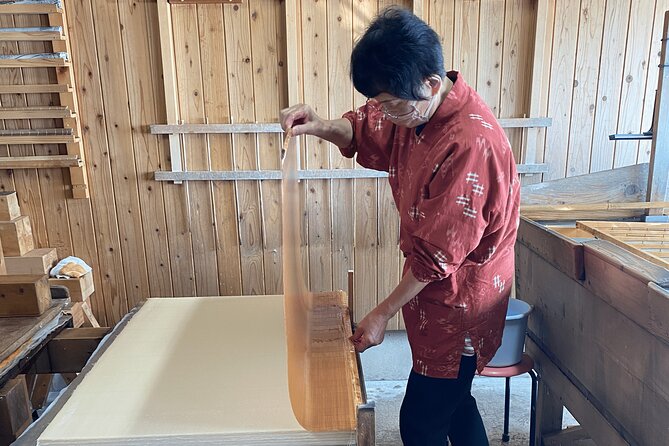 Half Day Private Mino Washi Craftsman Tour in Mino City - Mino City Artisans Craftsmanship