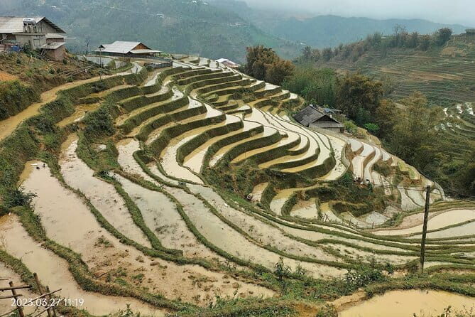 Half-Day Private Muong Hoa Valley Trek and Ethnic Tribes Tour - An In-Depth Look at the Muong Hoa Valley Trek
