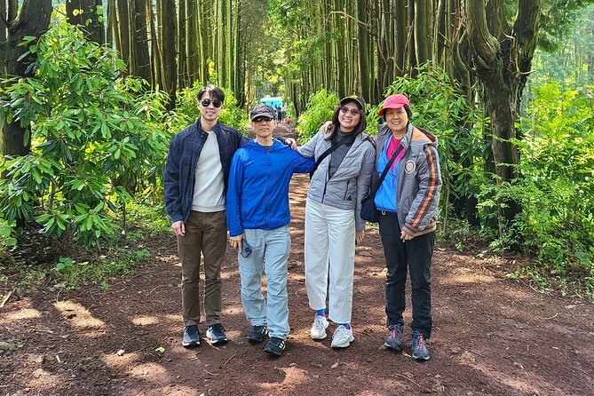 Half Day Private Oreum(Small Mountain ) Tour in Jeju Island - Contact and Information