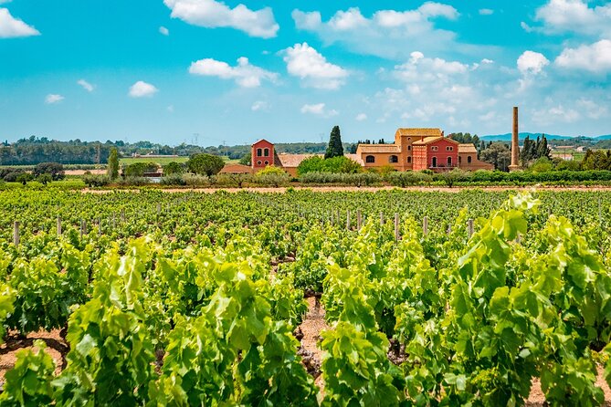 Half-Day Private Penedes Wine Tour Experience From Barcelona - Cancellation Policy