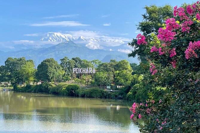 Half-Day Private Pokhara Tour - Pricing and Terms