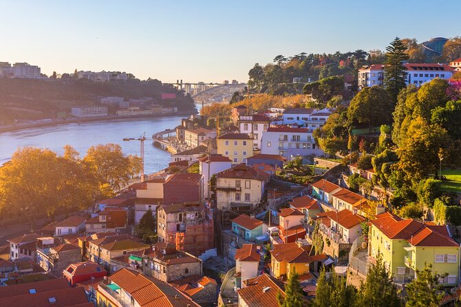 Half-Day Private Port Wine Tour Experience From Porto - Tour Highlights