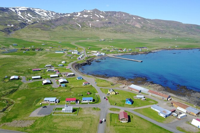 Half-day Private Puffin and Elves Tour in Borgarfjordur Eystri - Overview