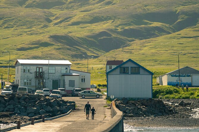Half-day Private Puffin and Elves Tour in Borgarfjordur Eystri - The Sum Up