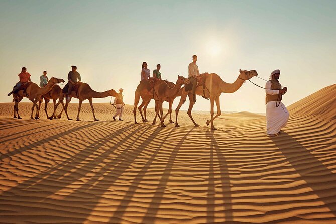 Half-Day Private Safari Tour With Camel Ride, Dune Bashing, Star Gazing - Camel Ride Experience