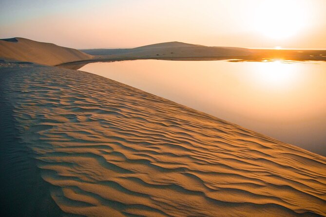 Half-Day Private Safari Tour With Camel Ride, Dune Bashing, Star Gazing - Professional Safari Guides