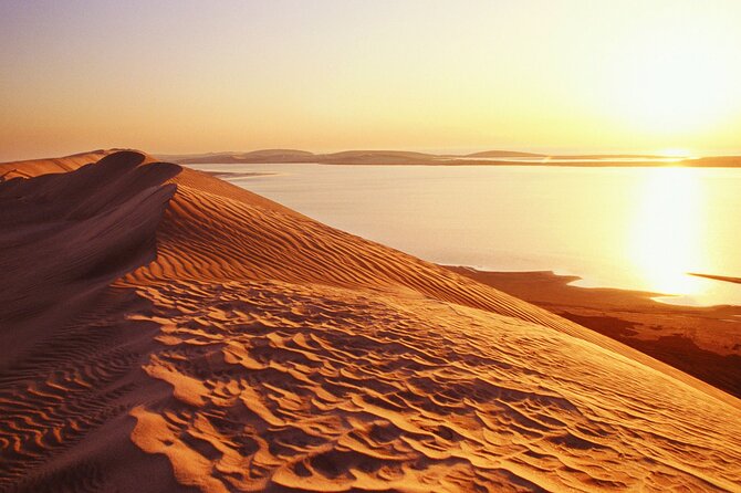 Half-Day Private Safari Tour With Camel Ride, Dune Bashing, Star Gazing - Safety Measures and Equipment