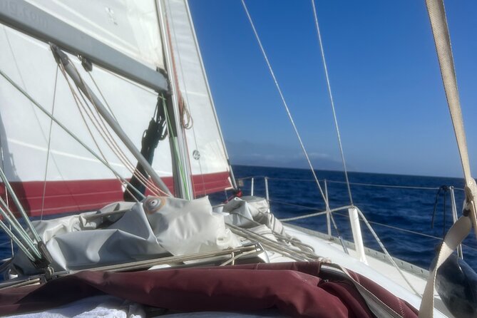 Half Day Private Sailing Cruise in Santorini Island up to 6 Pax - Questions and Contact Information