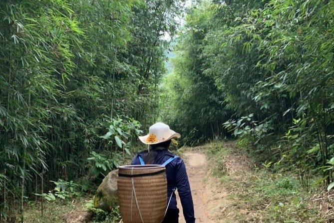 Half Day Private Sapa Trekking and Rural Village Tour in Lao Cai - Meeting and Pickup