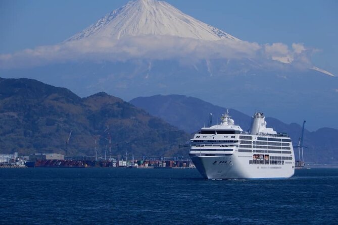 Half Day Private Sightseeing Tour Around Shimizu Port - Tour Itinerary