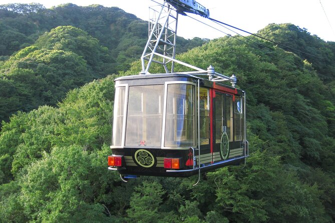 Half Day Private Sightseeing Tour Around Shimizu Port - Included Activities