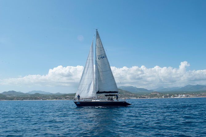 Half-Day Private Snorkel Sailing Adventure in Cabo San Lucas - An In-Depth Look at the Cabo Snorkel & Sailing Experience