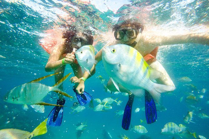 Half-Day Private Snorkel Sailing Adventure in Cabo San Lucas - Why This Tour Might Be Perfect for You