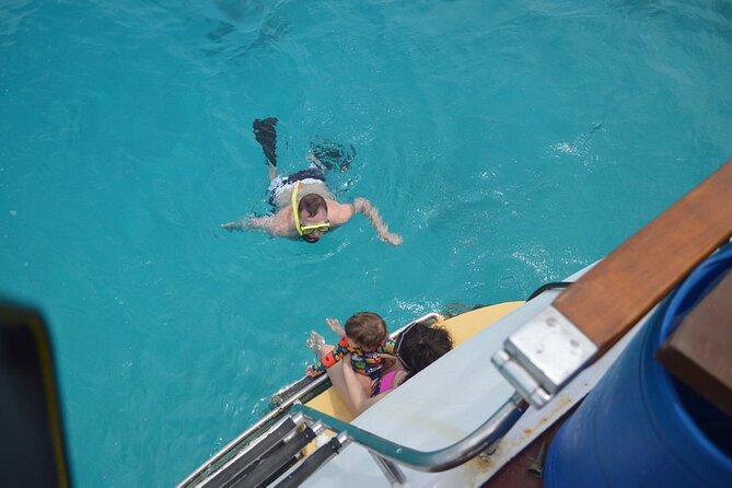 Half Day Private Snorkeling Experience in Aruba BYOFD - Authenticity and Verification of Reviews