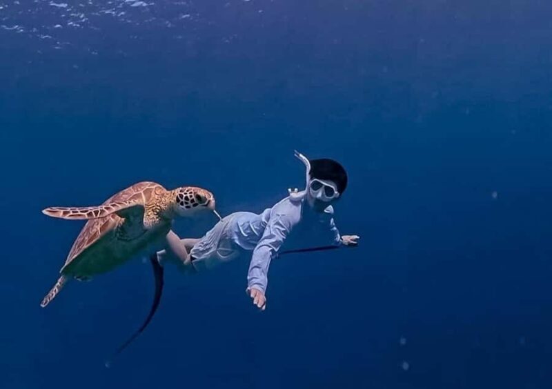 Half Day Private Snorkeling Swim With Turtles Free Gopro - Pricing and Value