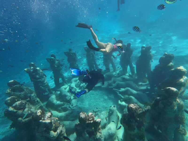 Half Day Private Snorkeling Swim With Turtles Free Gopro - The Sum Up