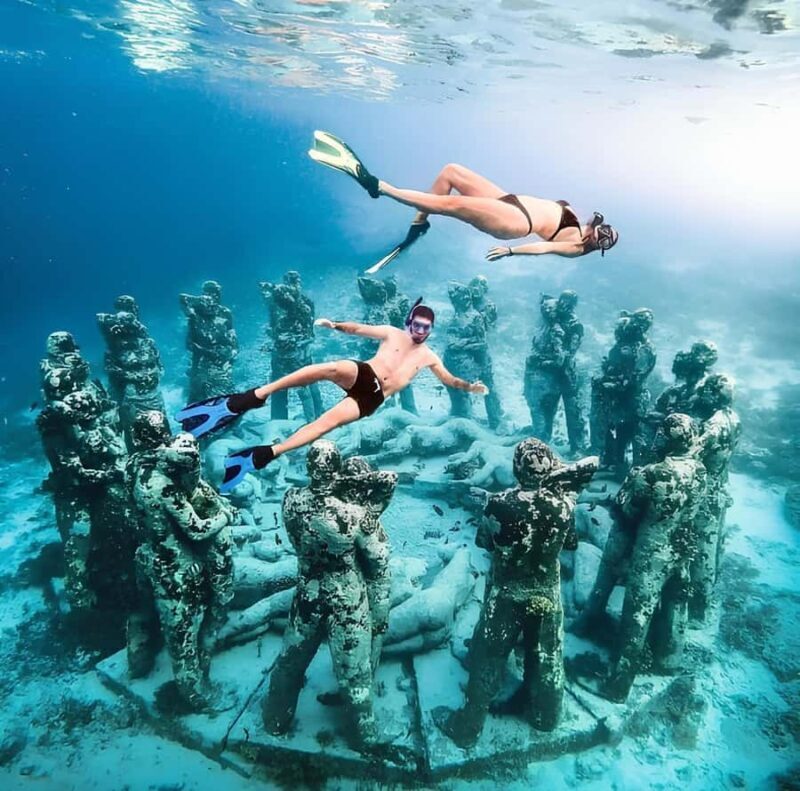 Half Day Private Snorkeling Swim With Turtles Free Gopro - What Makes This Snorkeling Tour Stand Out?