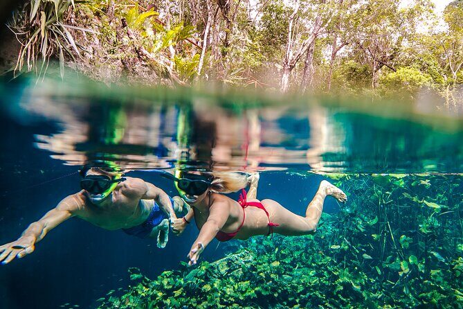 Half Day Private Snorkeling with Turtles and Majestic Cenotes - Who Would Love This Tour?