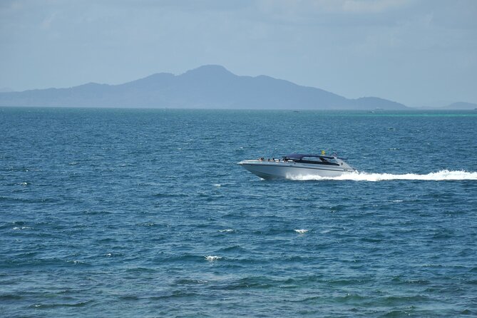 Half Day Private Speed Boat to Mahmya Island - Good To Know