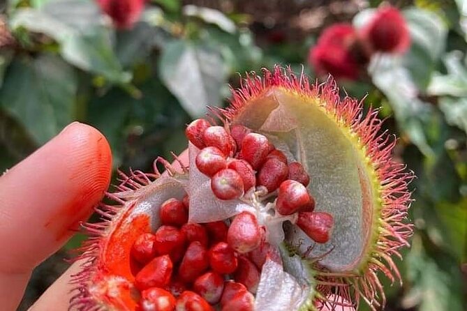 Half-Day Private Spice Tour in Kizimbani Farms, Zanzibar - Good To Know