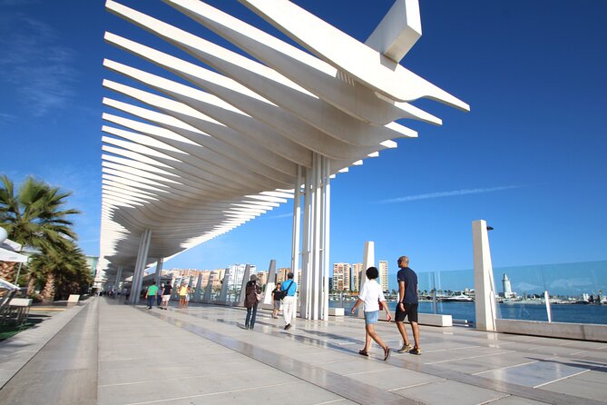 Half-Day Private Taxi Tour to Malaga Historic Center - Meeting and Pickup