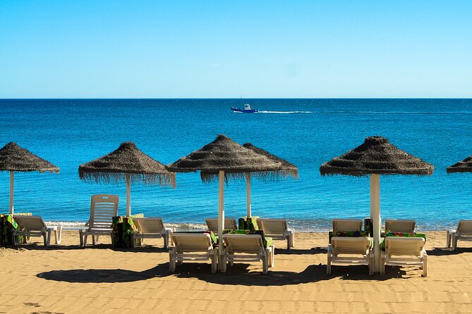 Half-Day Private Taxi Tour to Malaga Historic Center - Local Provider Information