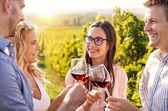Half-Day Private Texas Hill Country Wine Tour from Austin - Price and Value  