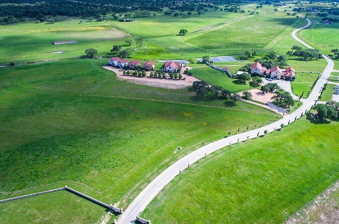 Half-Day Private Texas Hill Country Wine Tour from Austin - Authenticity and Highlights from Reviews  