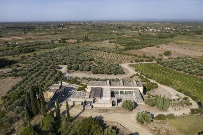 Half-Day Private Tour From Katakolo Port to Ancient Ilis - Booking Details