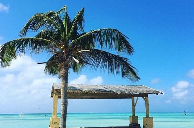 Half Day Private Tour in Aruba with Guide - The Sum Up