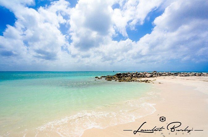 Half Day Private Tour in Aruba with Guide - FAQ