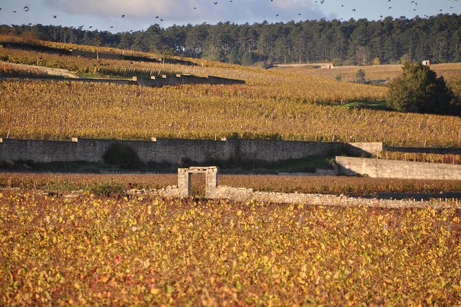 Half-Day Private Tour in Côte De Beaune - Questions and Help