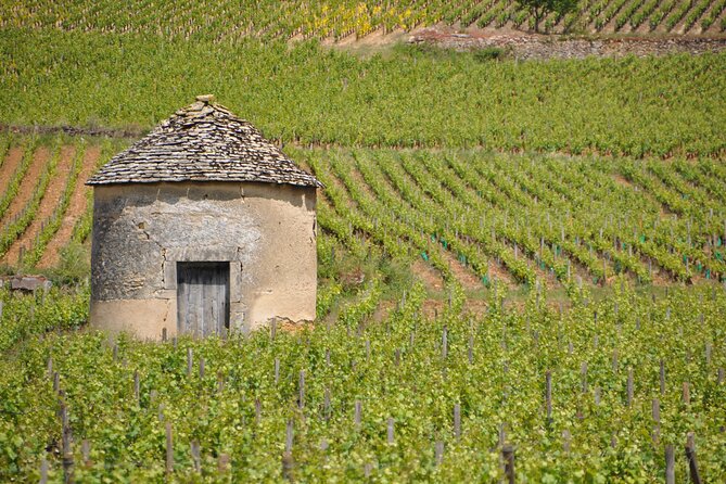 Half-Day Private Tour in Côte De Beaune - Pricing and Availability