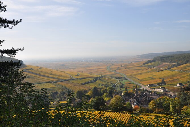 Half-Day Private Tour in Côte De Beaune - The Sum Up