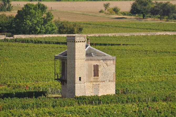Half-Day Private Tour in Côte De Nuits - Pricing and Availability