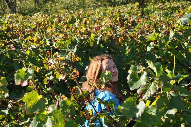 Half-Day Private Tour in Côte De Nuits - The Sum Up