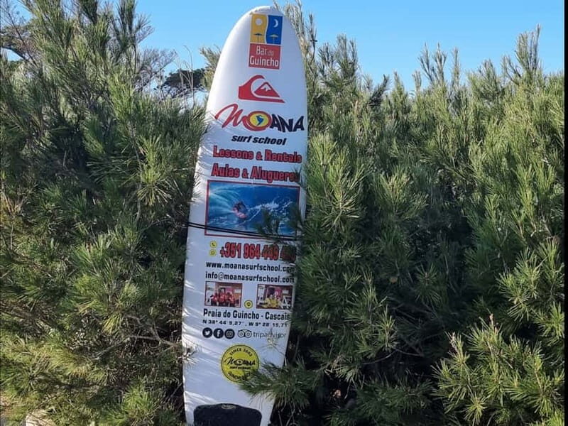 Half-day private tour in Lisbon viewpoints, Alfama & Belém - A Closer Look at the Itinerary