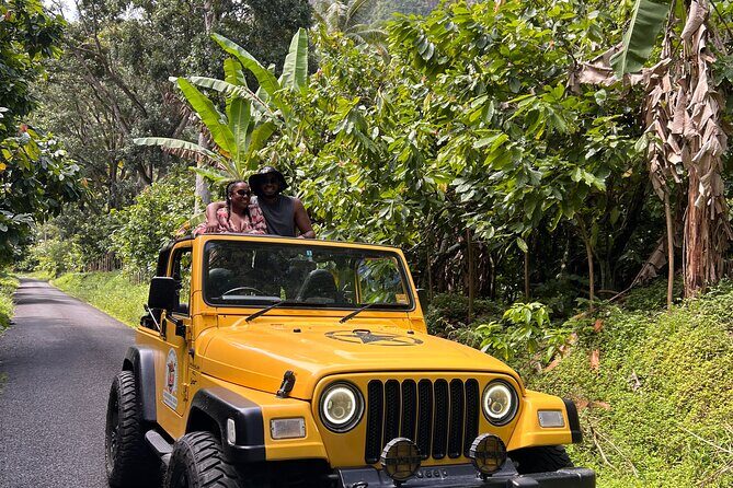Half Day Private Tour in St. Lucia Jeep Wrangler - Good To Know