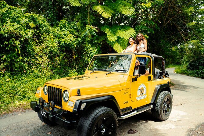 Half Day Private Tour in St. Lucia Jeep Wrangler - The Sum Up