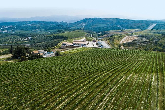 Half-Day Private Tour in Two Wineries and Archanes From Heraklion - Booking Information
