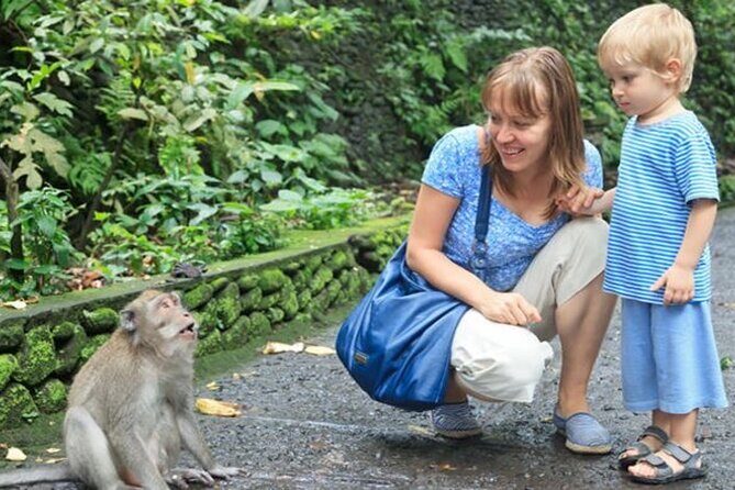 Half Day Private Tour in Ubud - The Itinerary Breakdown: What You Can Expect